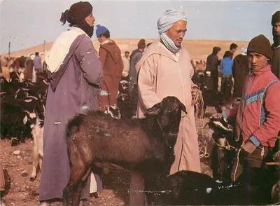 Souk das cabras — Marrocos típico — COLOR MARAKECH n°635