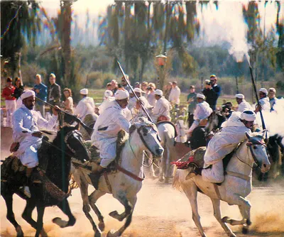 Cavaliers in white attire — Typical Moroccan Fantasia — Edition Ismail, No. 629