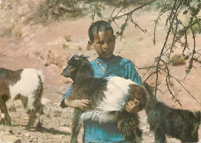 Criança segurando um cordeiro — Marrocos Típico, n°602