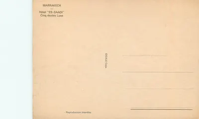 Basen hotelu — Marrakech — Hotel 'ES-SAADI' — IDEALE Casa — Rewers