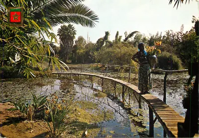 Jardins exóticos - Nérou - Éd. FISO, Barcelona, n°10