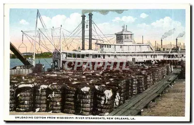 Descarregamento de algodão das vaporadas do rio Mississippi — Nova Orleans, LA — publicada por H. B. Brown