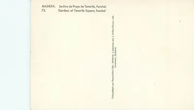 Ogród Placu Tenerife, Funchal — Madeira — wydawca J. Arthur Dixon, Ltd., Inverness, Skocja, nr 73 — Rewers