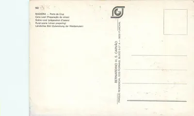 Madeira — Porto da Cruz — Preparação de vime — Bernardino H. S. Carvão — Verso