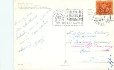 Funchal (Madeira) — Fiesta de la Noche de S. Silvestre — Editor MD 32 — Reverso