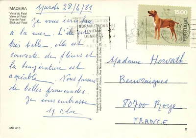 Faial — Widok Faial — MADEIRA MD 416 — Rewers