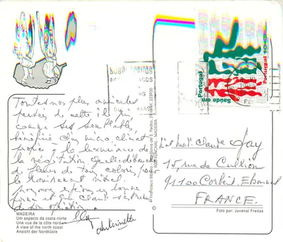 Madeira — Costa Norte — Francisco Ribeiro — Verso
