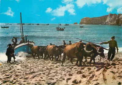 Nazaré (Portugal) — Uitzicht op het arrasto van de boten — uitgever Dúlia, n°119