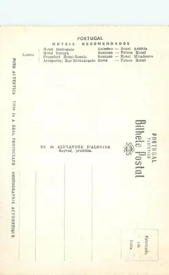 Bussaco — Las i Hotel Palace — Wyd. Alexandre D'Almeida, nr 253 — Rewers