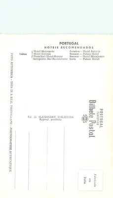 Bussaco - Las i Hotel Palace — Wydawca Alexandre D'Almeida, nr 253 — Rewers