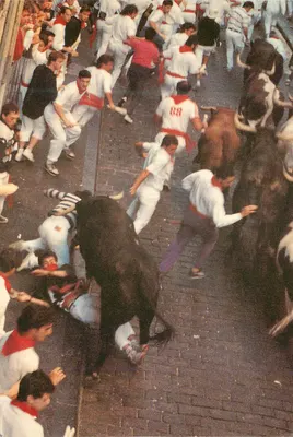 Fiestas de San Fermín — Encierro — Editora Postais Irúná, n° 37