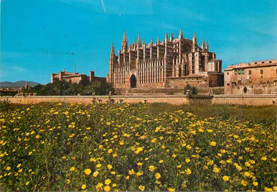 Catedral de Mallorca — Palma de Mallorca — Editor N° 25
