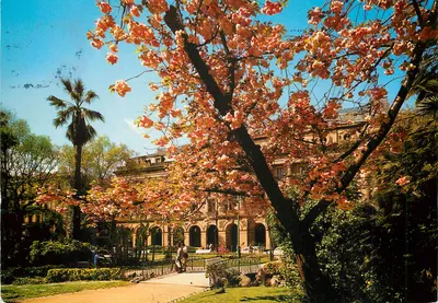 Plaza de Guipúzcoa — San Sebastián — manipel