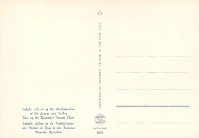 Tabgha, Igreja da Multiplicação dos Pães e dos Peixes — Mosaico bizantino — Verso