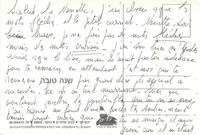 Jacht z pasażerami — Zatoka Caesarea — Sea Fun Tourism Enterprises — Rewers