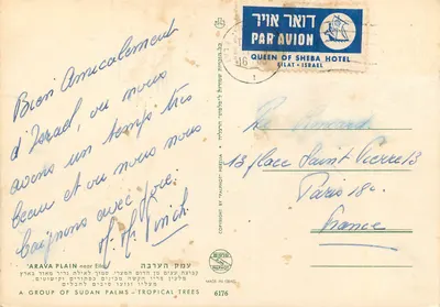 Pustynna równina Arawa blisko Eilat — Grupa palm sudeńskich — Tropikalne drzewa — Hotel Królowa Sabi, Eilat, Izrael — Rewers