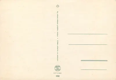 Be'er Sheba — panorama z kamelami i nowoczesnymi budynkami — wydawca Palphot Herzlia, n° 5782 — Rewers