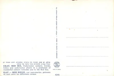 Eilat, Morze Czerwone — widok podwodny — Palphot Ltd. n°4245 — Rewers