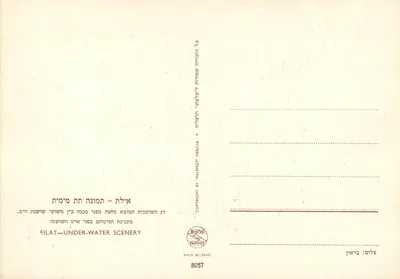 Anemonia morska — Anemonia morska — wydawca FILAT, nr 8057 — Rewers