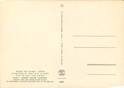 Eilat — Widok pod wodą — Palphot Herzlia — Rewers