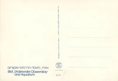 Eilat, Obserwatorium i Akwarium Podwodne — Palphot Ltd. nr 3578 — Rewers