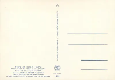 Eilat — Widok pod wodą — Palphot Hezziia — Rewers
