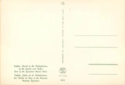 Tabgha, Igreja da Multiplicação dos Pães e dos Peixes — Mosaico bizantino — PALPHOT, n° 6814 — Verso