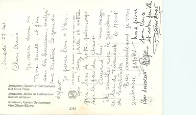 Jerusalém, Jardim de Gethsémane — Velhos oliveiros — editor PALPHOT, n° 3762 — Verso