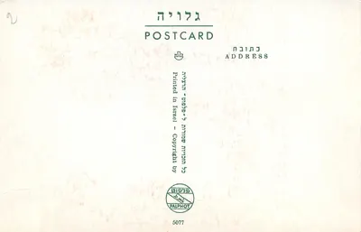 Tiberias, jezioro Galilejskie — widok z palmami — wydawca Palphot, nr 5077 — Rewers