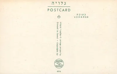 Capernaum — Starożytny Synagoga — Palphot — Rewers