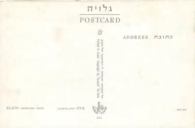 Eilat - Tropicana Hotel — uitzicht op het gebouw met klanten en auto — uitgever Isanor Tel Aviv, n°240 — Achterkant
