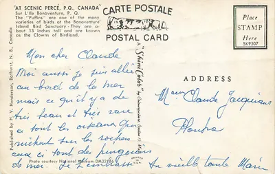 Pinguins — Ilha Bonaventure, Quebec — Publicado por H. V. Henderson, Bathurst, N.B., Canadá — Verso