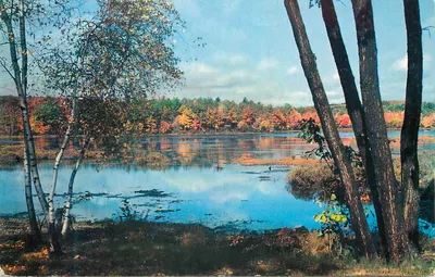 Lago com cores de outono — Editor: Color by Free Lance Photographers Guild, Inc. — Número de série: P25928