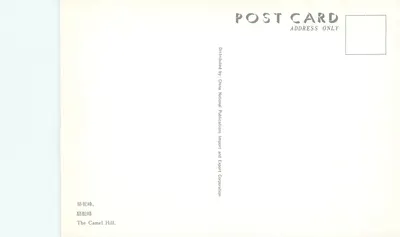 Camel Hill — skały karstowe i czerwone kwiaty — China National Publications Import and Export Corporation — Rewers