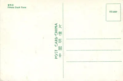 Fazenda privada de patos — China — carta postal — Verso