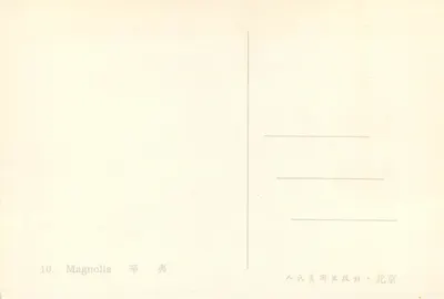 Magnolia — seria ilustracji botanicznych — Wydawca: Peuple Art Publishing, Pekin — Rewers