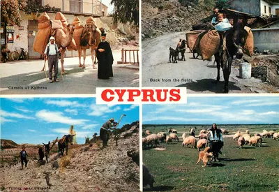 Caravanas de camelos, pastores e agricultores — Chipre — Mona L.T.D. — n°144