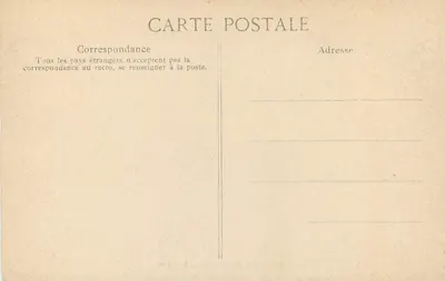 Grande Comore — Fougères — Verso