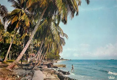 Praia de cocoteiros — Brazzaville — Éditions HOA-QUI n°4056