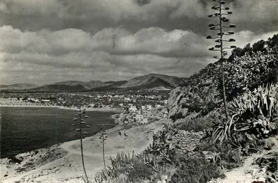 Praça de 'Ses Figueretes' — Ibiza (Baleares) — Tarieta Postal, Série 1 Núm. 3726
