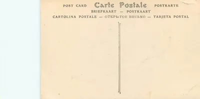 Carthage — Ogród Muzeum Saint-Louis — ND. Fot. n°30 — Rewers