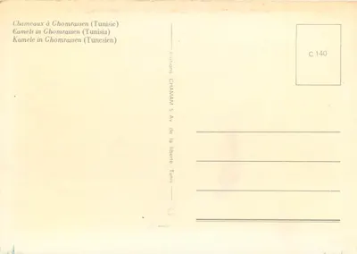 Kamile w Ghomrassenie (Tunisja) — Wydawnictwo CHAMAM 5 Av de la liberté, Tunis — nr C 140 — Rewers