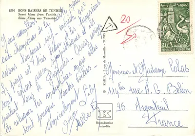 Camelos bebendo — Tunísia — editor KAHIA, n° 1590 — Verso