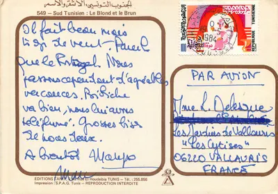 Camelotes — Południowy Tunezja: Blond i Brązowy — Wydawnictwo Tamy, Tunis — Rewers