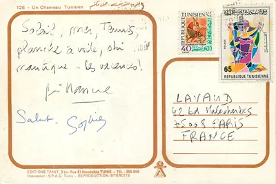 Tuniszyjski kamel — Wydawnictwo Tanit, nr 126 — Rewers
