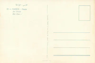 Oazę Gabès — Wydawnictwo TANJIT 3, Tunis — Rewers