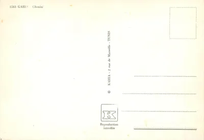 Oazę Gabès — widok z zapory i rzeki — wydawca Kahia, Tunis — Rewers