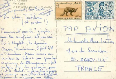 La Corbeille — Oasis tunisienne — Wydawca: Editions TANIT — Rewers