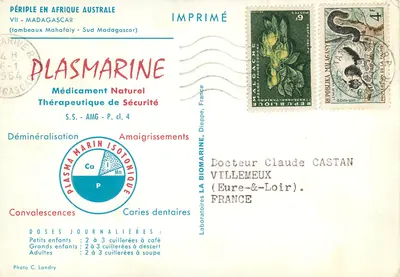 Groby Mahafaly — Południe Madagaskaru — Wydruk Plasmarine — Rewers