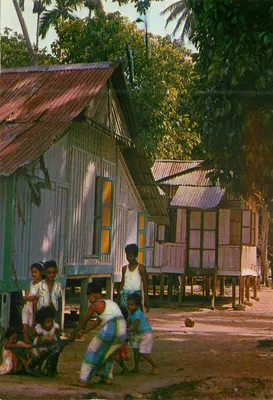 Malay Kampong — Penang — P.M.S. Mohamed Noordin